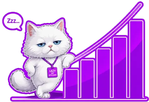 Vagocat Google Ads management